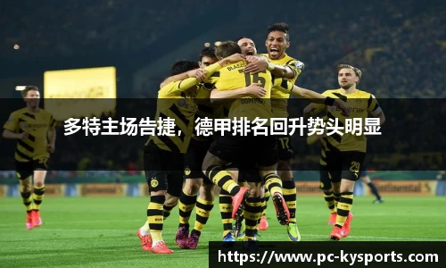 开云体育公司